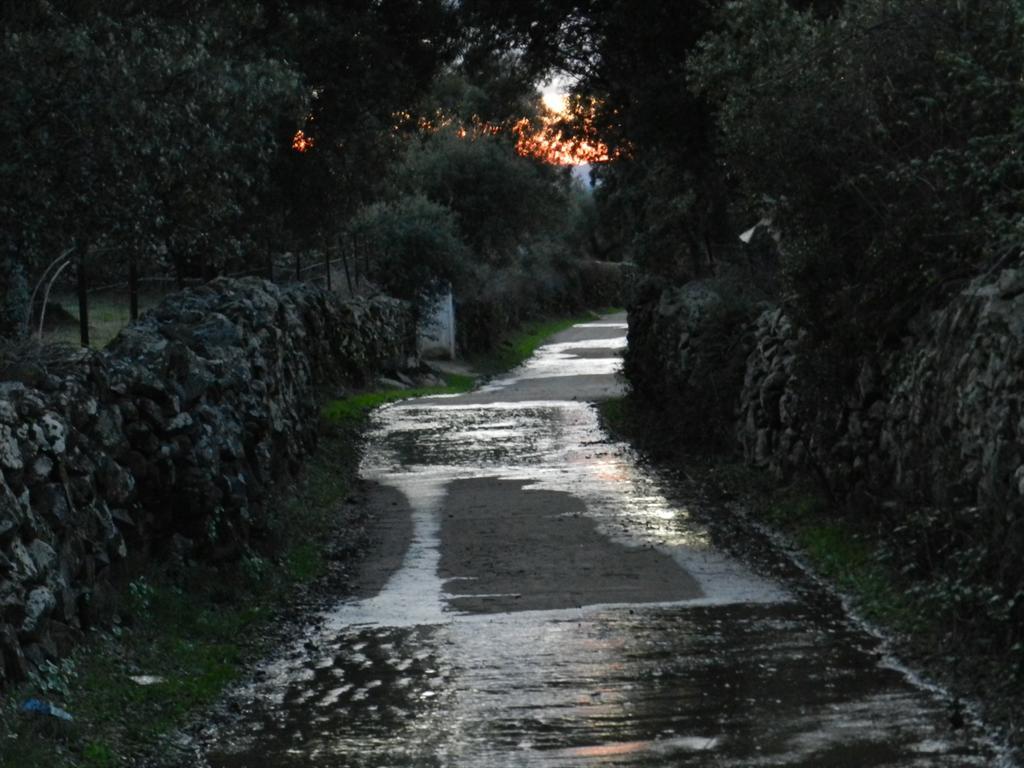 Alojamiento Rural La Rabida 25 Cumbres Mayores Dış mekan fotoğraf